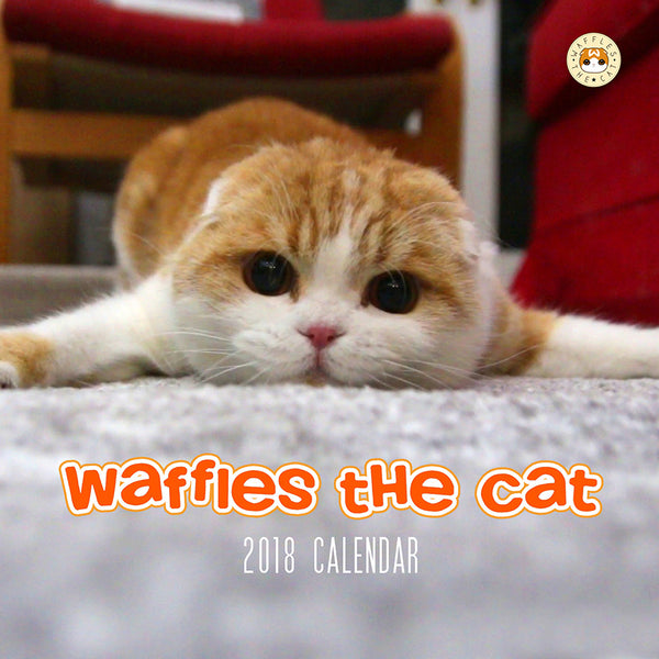 SOLD OUT Waffles the Cat Scottish Fold Cat 2018 Calendar