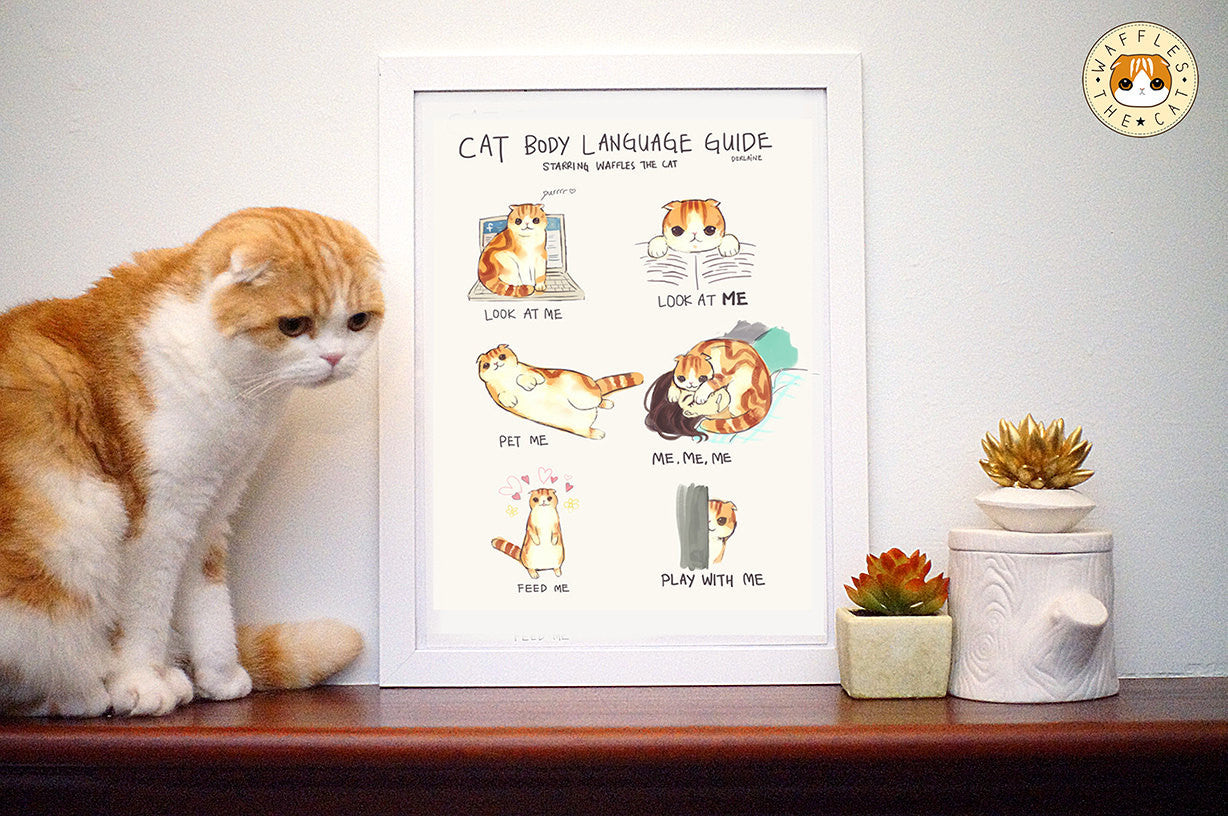 Waffles the Cat Poster - Cat Body Language
