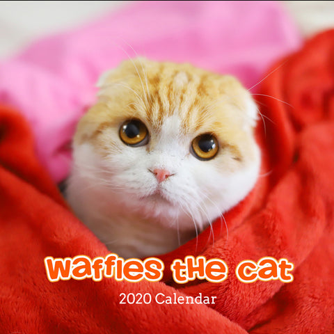 Waffles 2020 Calendar