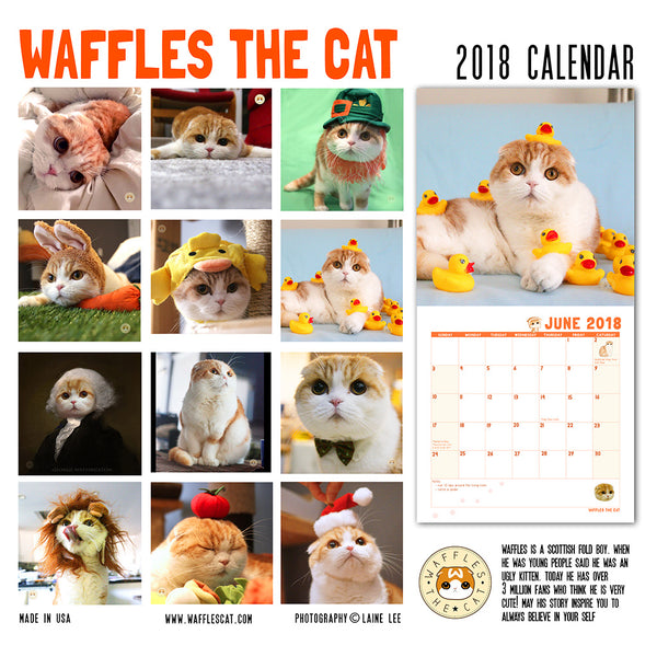 SOLD OUT Waffles the Cat Scottish Fold Cat 2018 Calendar