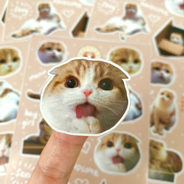 Waffles the Cat Sticker Sheet
