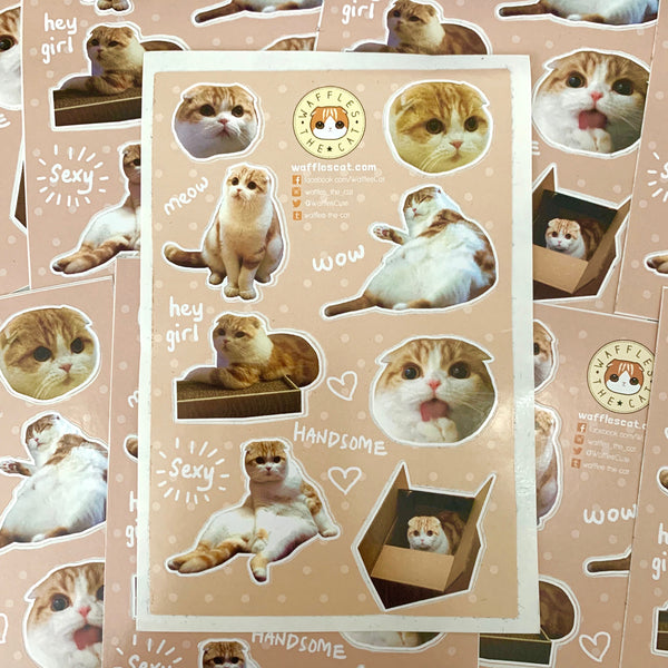 Waffles the Cat Sticker Sheet