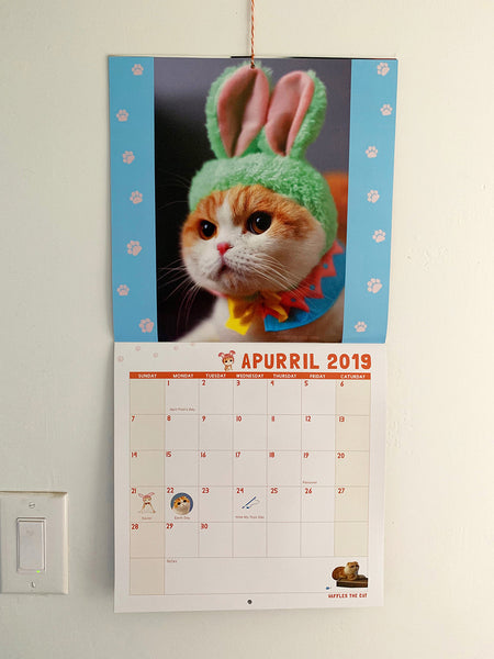 Waffles the Cat Scottish Fold Cat 2019 Calendar