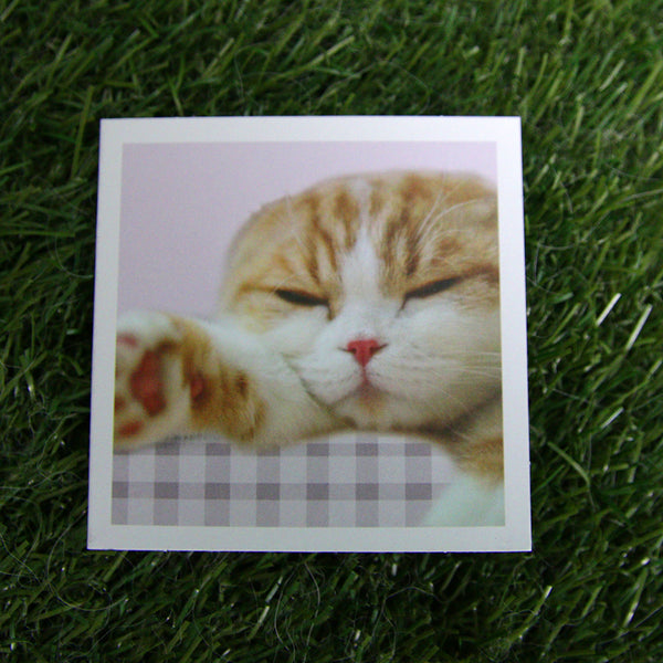 Waffles the Cat Gift Cards