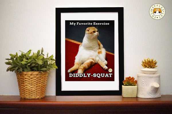Diddly-Squat