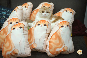 Waffles the Cat Pillow
