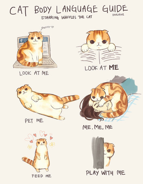 Waffles the Cat Poster - Cat Body Language