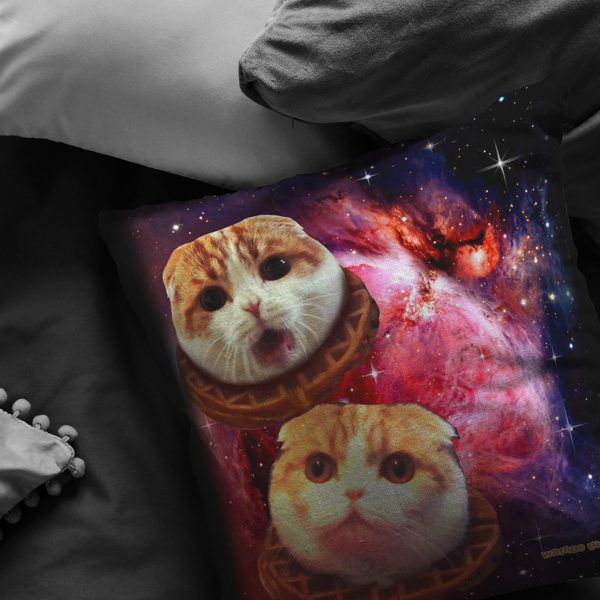 Space Waffles Pillow