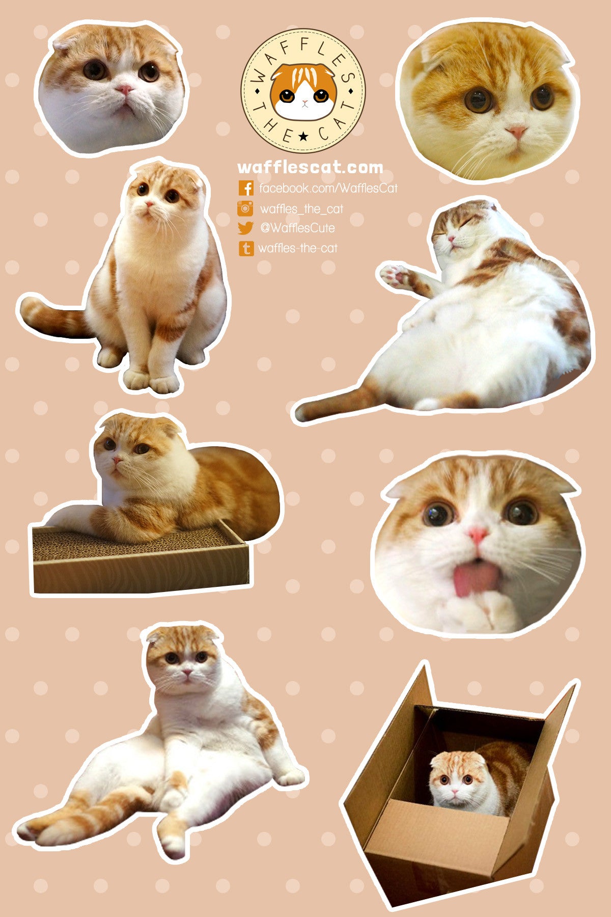 Cute Cats Sticker Sheet