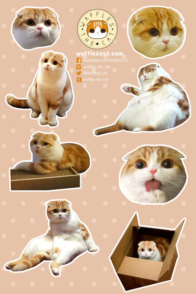 Scottish Fold Sticker Sheet | Cute Cat Stickers for Phone, Laptop, Journal